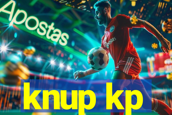 knup kp-t89 driver